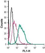 Dopamine Transporter (DAT) (extracellular) Antibody in Flow Cytometry (Flow)