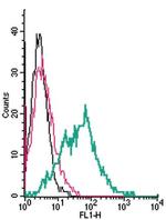 Serotonin Transporter (SERT) (extracellular) Antibody in Flow Cytometry (Flow)