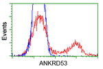 ANKRD53 Antibody in Flow Cytometry (Flow)