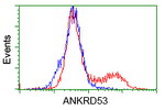 ANKRD53 Antibody in Flow Cytometry (Flow)