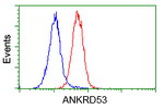 ANKRD53 Antibody in Flow Cytometry (Flow)