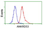 ANKRD53 Antibody in Flow Cytometry (Flow)