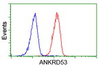 ANKRD53 Antibody in Flow Cytometry (Flow)