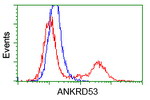 ANKRD53 Antibody in Flow Cytometry (Flow)