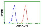 ANKRD53 Antibody in Flow Cytometry (Flow)