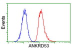 ANKRD53 Antibody in Flow Cytometry (Flow)