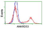 ANKRD53 Antibody in Flow Cytometry (Flow)