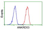 ANKRD53 Antibody in Flow Cytometry (Flow)