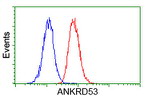 ANKRD53 Antibody in Flow Cytometry (Flow)