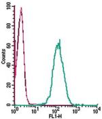 ATP1B3 (extracellular) Antibody in Flow Cytometry (Flow)