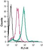 TREM2 (extracellular) Antibody in Flow Cytometry (Flow)