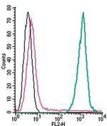 TREM2 (extracellular) Antibody in Flow Cytometry (Flow)