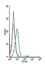 CD56/NCAM1 (extracellular) Antibody in Flow Cytometry (Flow)