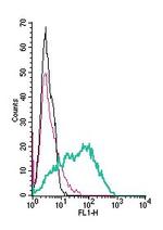 Nectin-1/PVRL1 (extracellular) Antibody in Flow Cytometry (Flow)