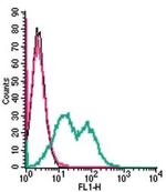 TMEM119 (extracellular) Antibody in Flow Cytometry (Flow)