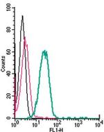 TMEM119 (extracellular) Antibody in Flow Cytometry (Flow)