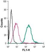 Sortilin (extracellular) Antibody in Flow Cytometry (Flow)