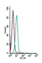 Ret (extracellular) Antibody in Flow Cytometry (Flow)