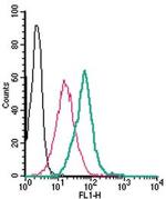 CD39 (extracellular) Antibody in Flow Cytometry (Flow)