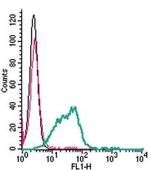 CD39 (extracellular) Antibody in Flow Cytometry (Flow)