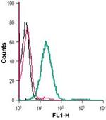 CD73 (extracellular) Antibody in Flow Cytometry (Flow)