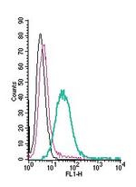 ASCT2/SLC1A5 (extracellular) Antibody in Flow Cytometry (Flow)