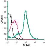 xCT/SLC7A11 (extracellular) Antibody in Flow Cytometry (Flow)