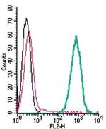 xCT/SLC7A11 (extracellular) Antibody in Flow Cytometry (Flow)