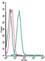 SLC11A1/NRAMP1 (extracellular) Antibody in Flow Cytometry (Flow)