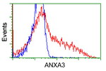 ANXA3 Antibody in Flow Cytometry (Flow)