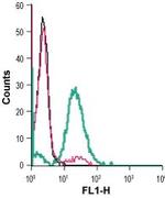 mu-Opioid Receptor (OPRM1) (extracellular) Antibody in Flow Cytometry (Flow)