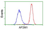 AP2M1 Antibody in Flow Cytometry (Flow)