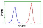 AP2M1 Antibody in Flow Cytometry (Flow)