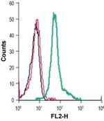 KV1.3 (KCNA3) (extracellular) Antibody in Flow Cytometry (Flow)