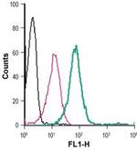 Kir2.1/KCNJ2 (extracellular) Antibody in Flow Cytometry (Flow)