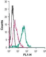 Kir2.1/KCNJ2 (extracellular) Antibody in Flow Cytometry (Flow)