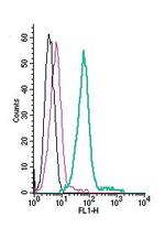 KCNQ1 (extracellular) Antibody in Flow Cytometry (Flow)