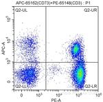 CD73 Antibody in Flow Cytometry (Flow)