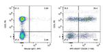 CD226 Antibody in Flow Cytometry (Flow)