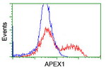 APEX1 Antibody in Flow Cytometry (Flow)