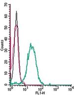 P2Y14 Receptor (extracellular) Antibody in Flow Cytometry (Flow)