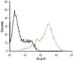 P2Y12 Receptor (extracellular) Antibody in Flow Cytometry (Flow)