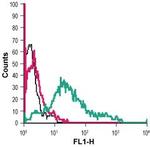 P2Y12 Receptor (extracellular) Antibody in Flow Cytometry (Flow)