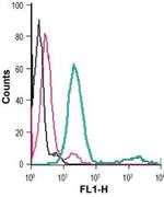 P2Y12 Receptor (extracellular) Antibody in Flow Cytometry (Flow)