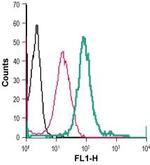 P2X4 Receptor (extracellular) Antibody in Flow Cytometry (Flow)