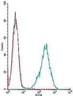 P2X4 Receptor (extracellular) Antibody in Flow Cytometry (Flow)