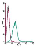 P2X3 Receptor (extracellular) Antibody in Flow Cytometry (Flow)