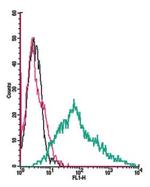 P2X3 Receptor (extracellular) Antibody in Flow Cytometry (Flow)