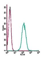 Prokineticin Receptor 1 (extracellular) Antibody in Flow Cytometry (Flow)