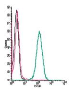 Prostaglandin E Receptor EP2/PTGER2 (extracellular) Antibody in Flow Cytometry (Flow)